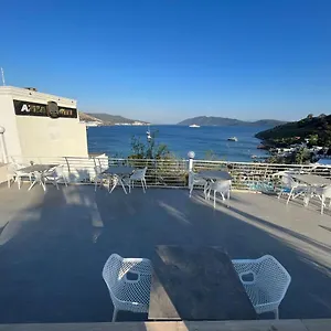 book here